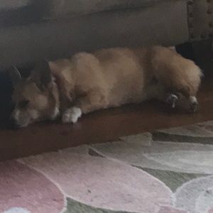 Meet your Posher, Christie